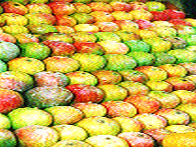 Mango export from Nashik stopped | नाशिकमधून होणारी आंब्याची निर्यात बंद