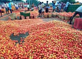 Tomato auction starts from today in Pandhurli sub-market of Sinnar market committee | सिन्नर बाजार समितीच्या पांढुर्ली उपबाजारात आजपासून टोमॅटो लिलाव सुरु