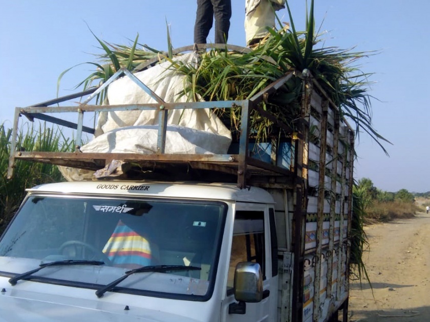 Parbhani: Sale of 3 thousand sugarcane growers daily | परभणी : दररोज होतेय ३ हजार ऊस वाढ्यांची विक्री