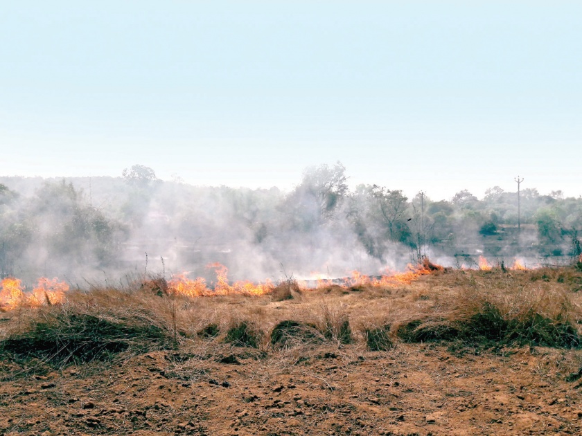 Sindhudurg: fire in the catchment area of ​​fire, help of villagers, fire in the fire | सिंधुदुर्ग : आचरा माळरानाला आग, ग्रामस्थांच्या मदतीमुळे आग आटोक्यात
