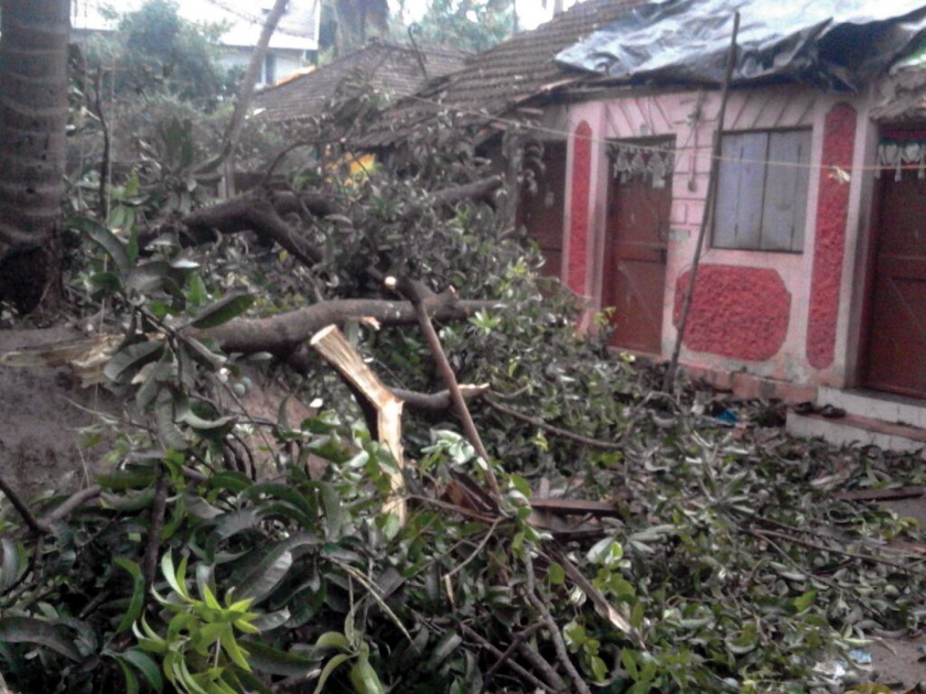 Sindhudurg: Tornadoes of Hurricanes, Tanada in Kudal taluka | सिंधुदुर्ग : चक्रीवादळाचा तडाखा, कुडाळ तालुक्यात दाणादाण