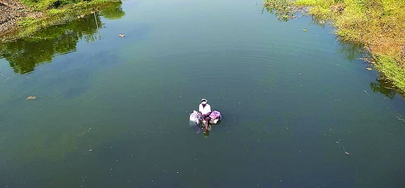 Plenty of water boosts fishing business in washim district | मुबलक पाण्यामुळे मत्स्य व्यवसायाला उभारी!