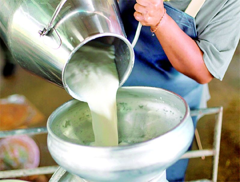 District union closed milk collection | जिल्हा संघाने दूध संकलन केले बंद