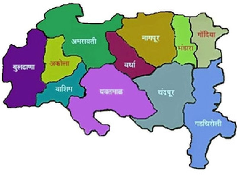 BJP ignores independent Vidarbha state | स्वतंत्र विदर्भ राज्याकडे दुर्लक्ष भाजपला भोवले