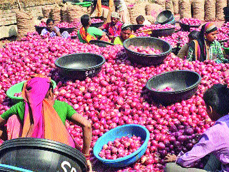 Onion continued to fall; Due to concerns about the producers | कांदा भावात  घसरण सुरुच ; उत्पादकांवर चिंतेचे सावट