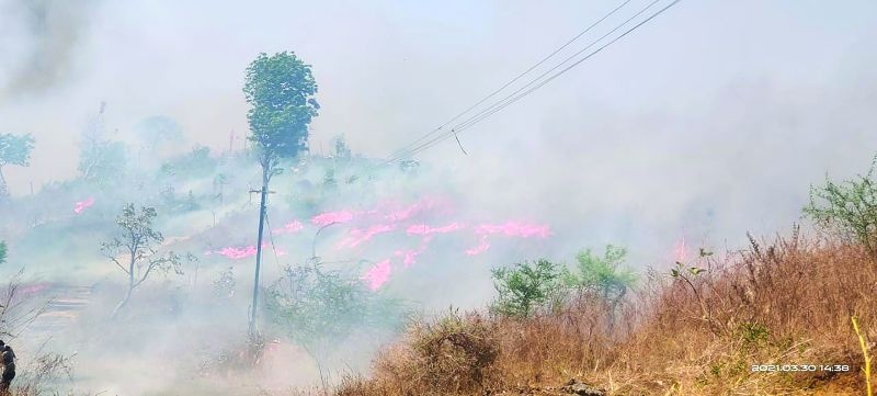 Fire in Popatkhed area near Melghat Tiger Project | मेळघाट व्याघ्र प्रकल्पालगत पोपटखेड परिसरात वणवा