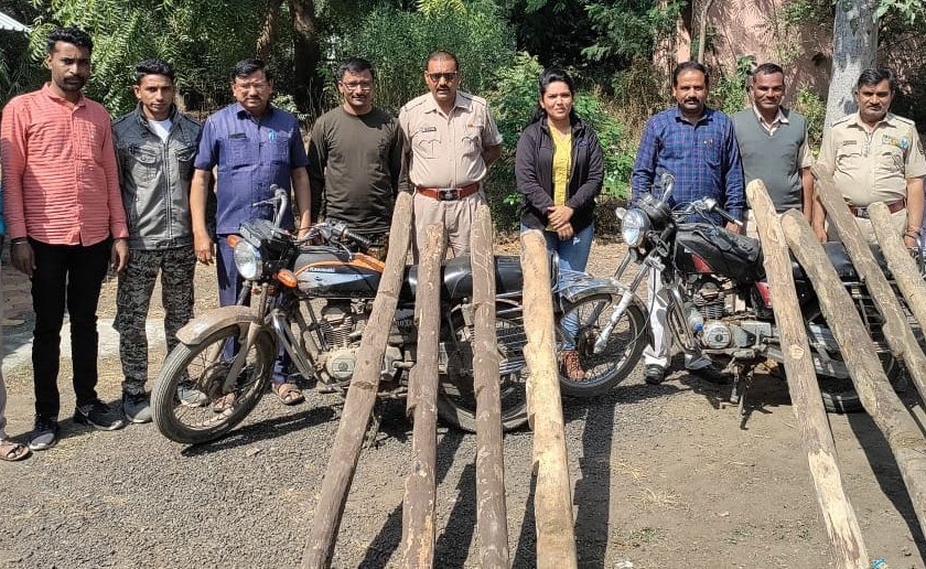 Captured teak wood cut in Gujarati |  गुजरदरीत तोडलेले सागवानी लाकूड केले हस्तगत