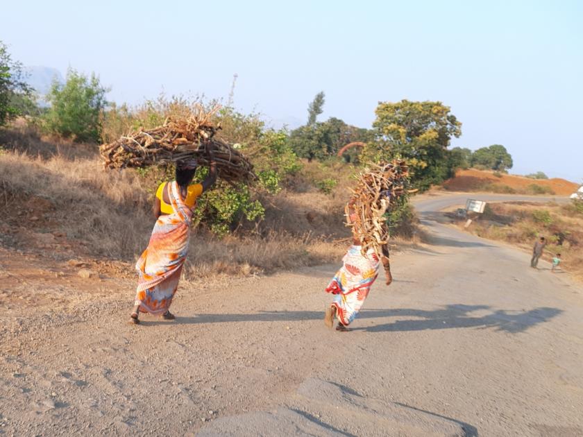 Women from rural areas run to the forest for firewood | ग्रामीण भागातील महिलांची सरपणासाठी जंगलात धाव