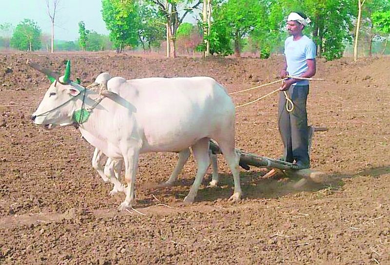 Pre-monsoon farming work increased almost | मान्सूनपूर्व शेती कामाची लगबग वाढली