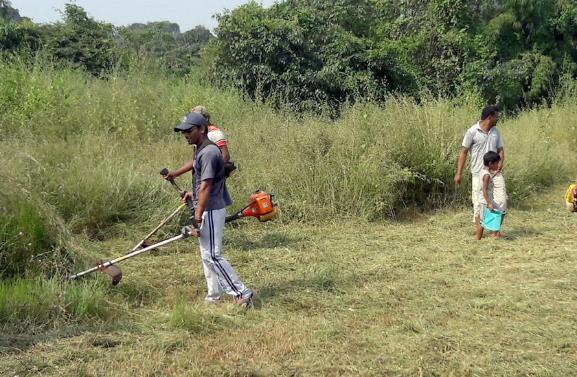 Sonruli Mauli's Lotsangana Jatrootsav, cleaning work starts at war footing | सोनुर्ली माऊलीचा लोटांगणाचा जत्रोत्सव, साफसफाईचे काम युद्धपातळीवर सुरू