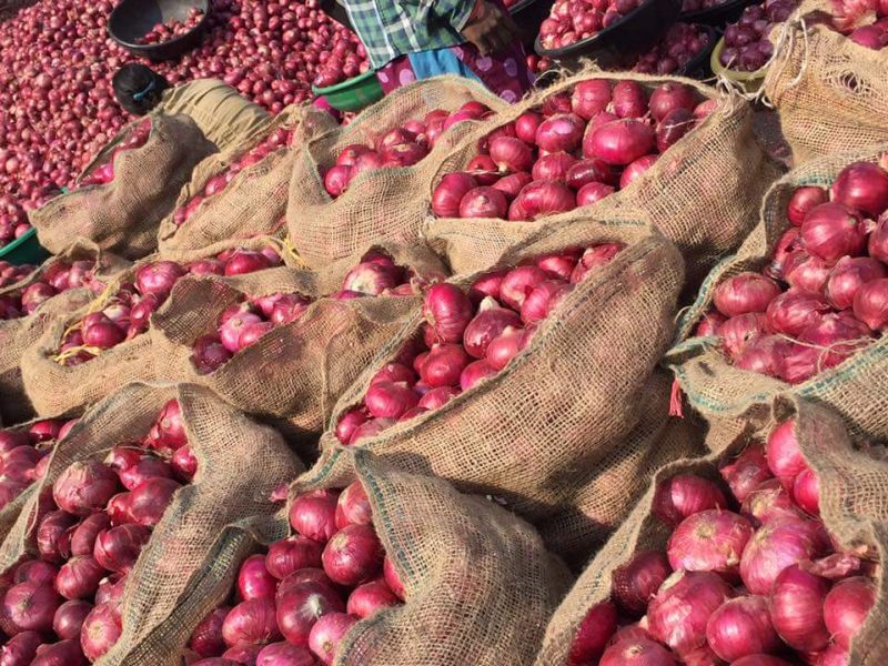 Prices of onion declined by Rs. 500 to Rs | कांदा भावात ५०० रूपयांनी घसरण