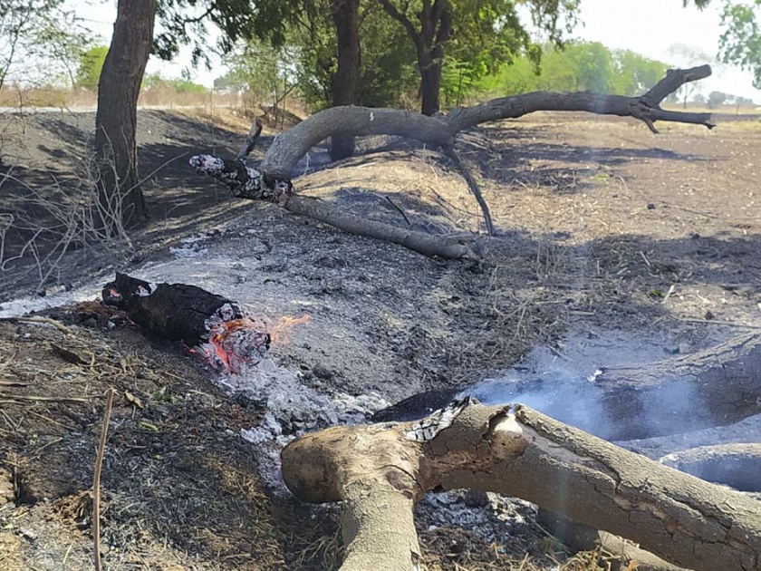Incidents of tree burning on Sarangkheda-Kukaval road | सारंगखेडा-कुकावल रस्त्यावर वृक्ष जाळण्याच्या घटना