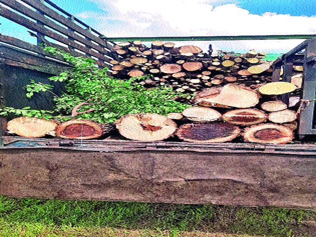 Timber smuggling in Deolane area | देवळाणे परिसरात लाकडांची तस्करी