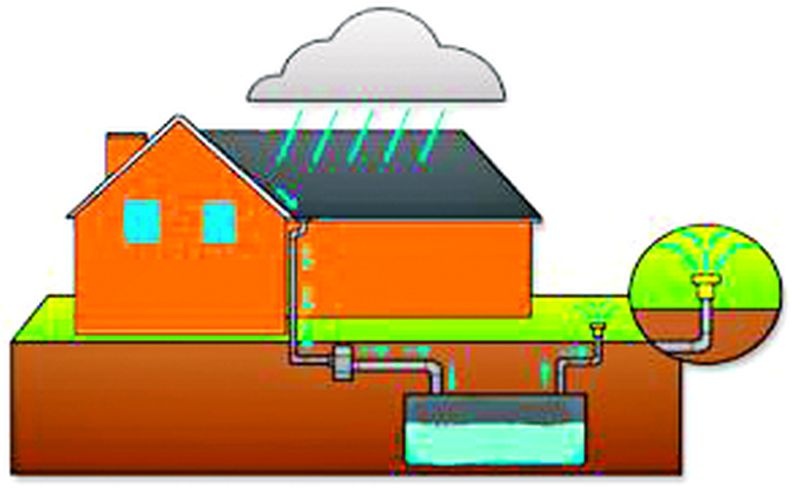 Ignoring rainwater harvesting in Pusad | पुसदमध्ये रेन वॉटर हार्वेस्टिंगकडे दुर्लक्ष