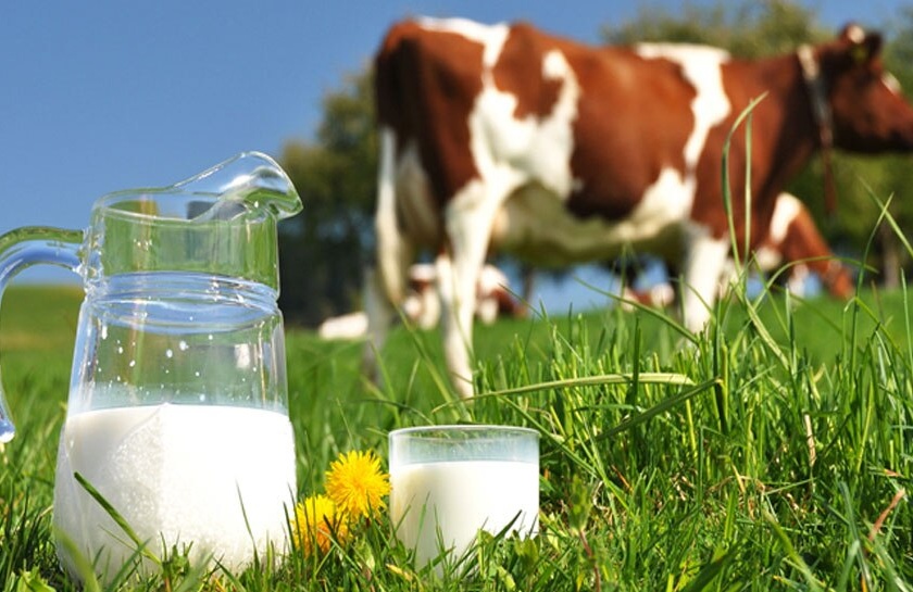 Big news; Cow milk purchase price increased by Rs | मोठी बातमी; गायीच्या दूध खरेदीदरात सहा महिन्यांत दहा रुपयांची वाढ