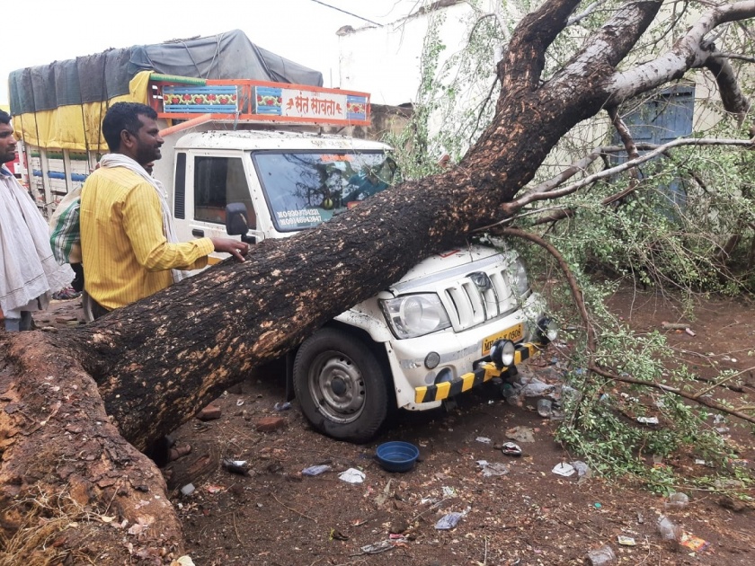 Unseasonal rains in Hingoli district; The storm blew down trees | हिंगोली जिल्ह्यात अवकाळी पावसाची हजेरी; वादळाने झाडे पडली