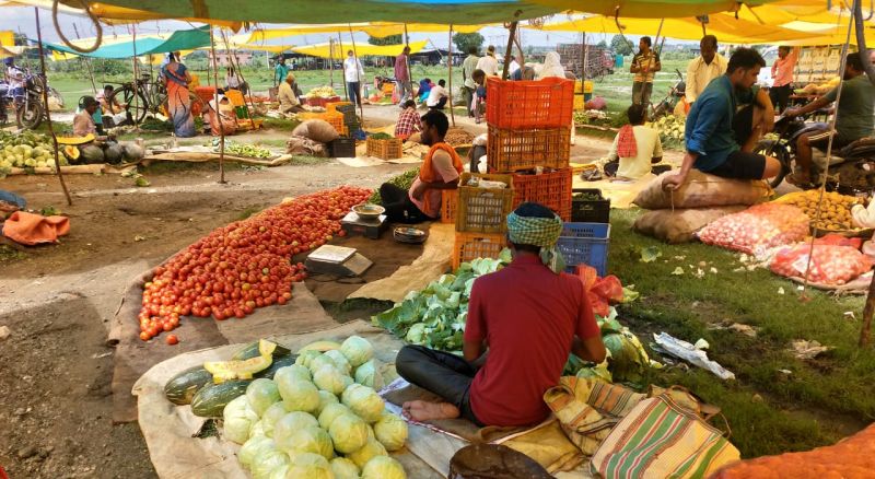 Tomato prices skyrocketed in Chandrapur district | चंद्रपूर जिल्ह्यात टोमॅटोचे भाव आकाशाला भिडले