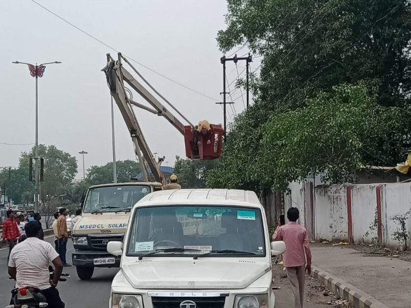 Death of an electrician due to shock while working; Incident in Solapur | काम करताना शॉक लागल्याने वीज कर्मचाऱ्याचा मृत्यू; सोलापुरातील घटना