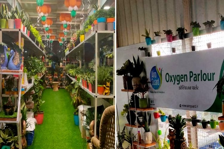 Oxygen Parlor in Thane Station; Pure air will provide 2 types of plants | ठाणे स्थानकात ऑक्सिजन पार्लर; १८ प्रकारची झाडे पुरवणार शुद्ध हवा