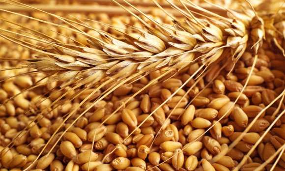  Wheat prices increase by 3-5 rupees | गव्हाच्या भावात ३०० ते ४०० रुपयांनी वाढ
