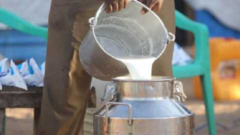 22 milk unions in the state in liquidation; Two milking parlors closed | राज्यातील २२ दूध संघ अवसायनात; दोन दूधसंघ झाले बंद