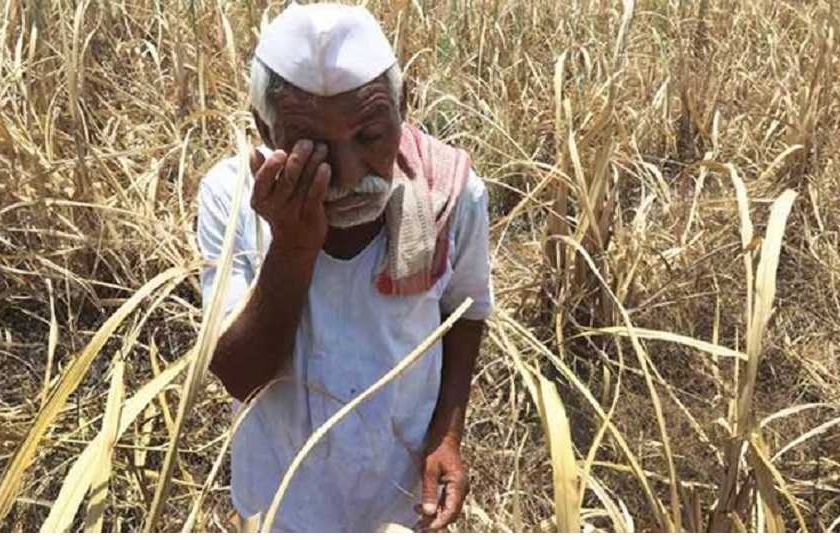 148 farmers deprived of benefit of PM crop insurance scheme; Insolvency of insurance company | प्रधानमंत्री पीक विमा योजनेच्या लाभापासून १४८ शेतकरी वंचित; विमा कंपनीचा भोंगळ कारभार