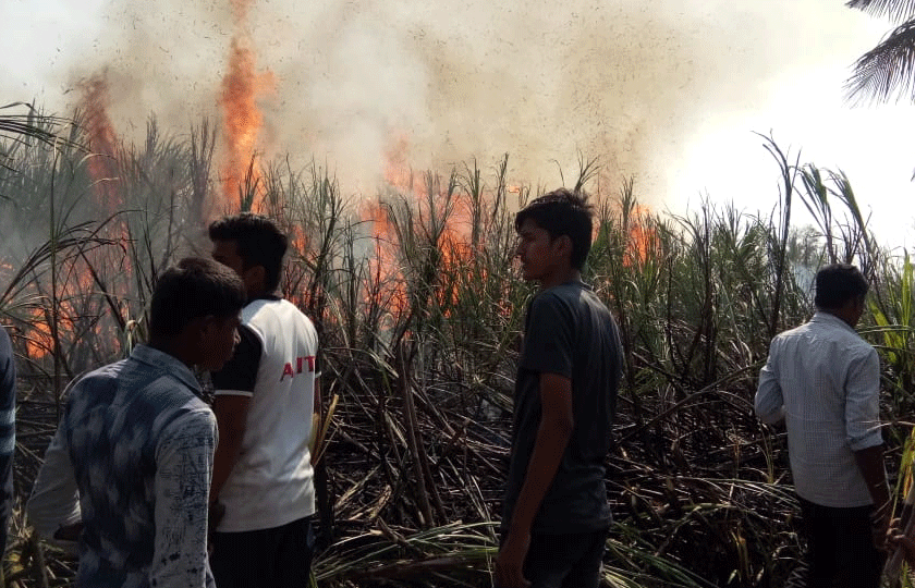 Farmers' Java integration, burning 12 acres of sugarcane in front of the eyes in karnataka | शेतकऱ्यांच्या जावाची घालमेल, डोळ्यादेखत 12 एकर ऊस जळून खाक