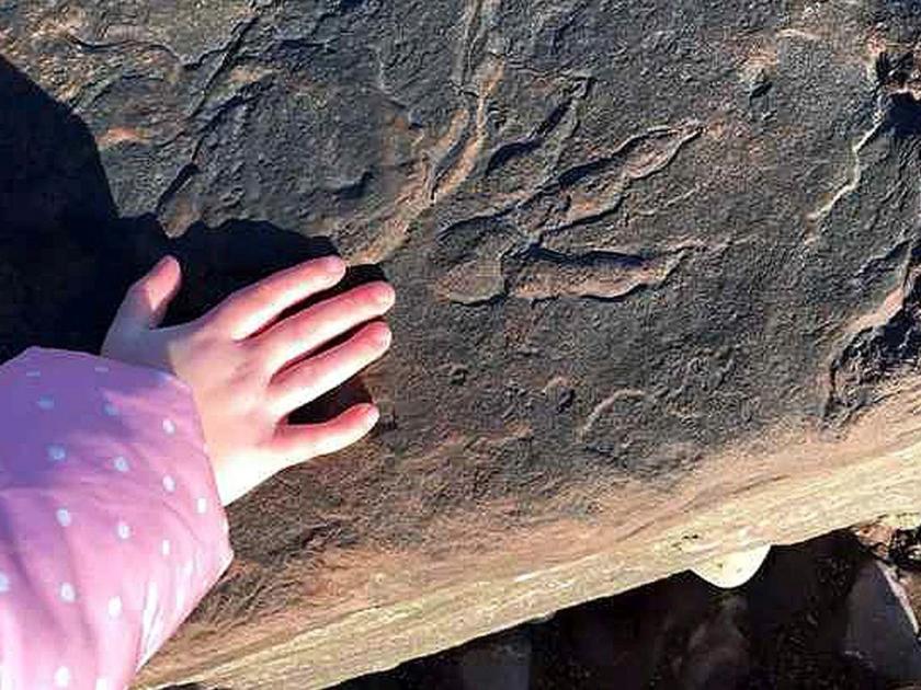 Four year old girl discovers 220 million year old dinosaur footprint at a beach in Wales | चार वर्षांच्या चिमुरडीनं शोधला नामशेष झालेल्या डायनासोरच्या पायाचा ठसा