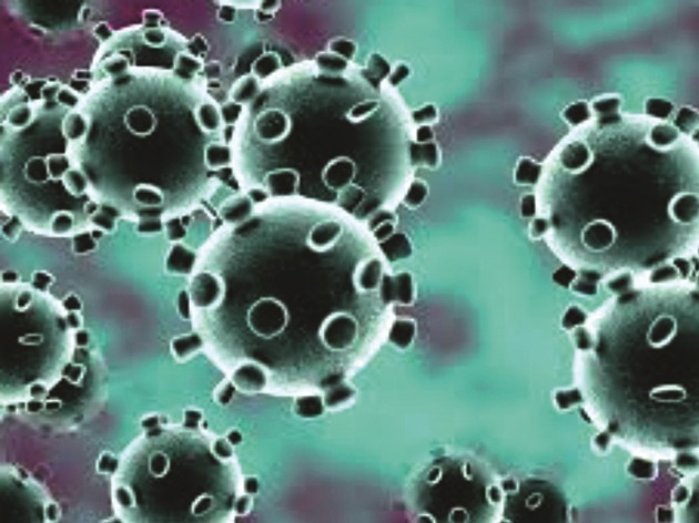 corona virus: Number of infected people in the district rises to 22,000, 25 more die | corona virus : जिल्ह्यात बाधितांचा आकडा २२ हजारांवर, आणखी २५ जणांचा मृत्यू