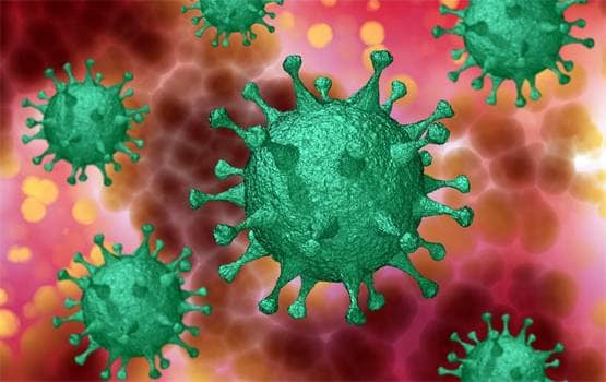 corona virus: more cured than new patients | corona virus : नव्या रुग्णापेक्षा बरे झालेल्यांची संख्या अधिक