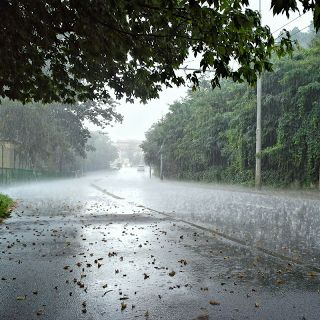 'Monsoon Return' from October 6; Chance of sparse rain in Vidarbha | ६ ऑक्टोबरपासून ‘मान्सून रिटर्न’; विदर्भात तुरळक पावसाची शक्यता 