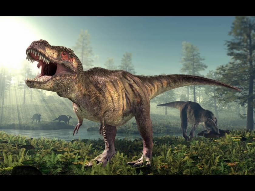 First ever dinosaur discovery Megalosaurus fossil discovered by William Buckland | असा दिसत होता जगातील पहिला डायनासॉर, इथे सापडली होती पहिले अवशेष!