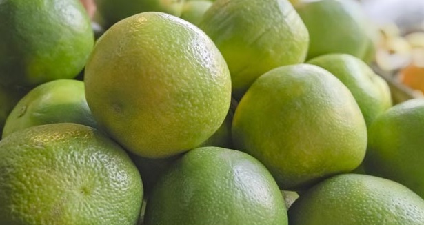 Seedless oranges will appear in the Vidarbha market in four years | चार वर्षात विदर्भाच्या बाजारपेठेत दिसणार सीडलेस संत्रा-मोसंबी