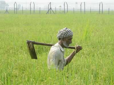 Victory despite ignoring the farmers | शेतकऱ्यांची उपेक्षा करूनही विजय