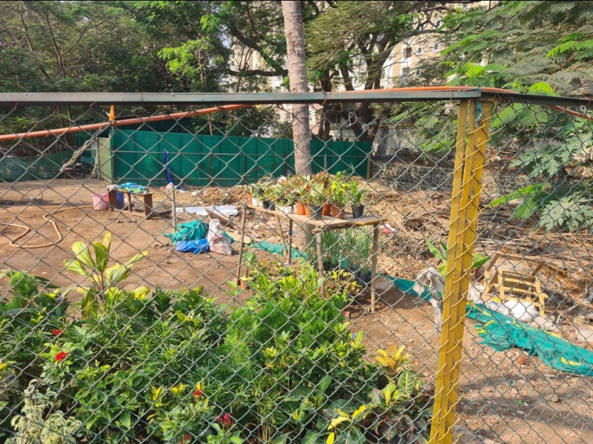The nursery that was cut down by the Municipal Corporation will be re-established on Palm Beach | महापालिकेने तोडलेल्या रोपवाटिकेचे पाम बीचवर पुन्हा बस्तान