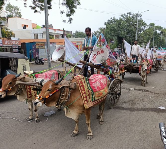 Balbandi Morcha against Agriculture Act in Yavatmal | यवतमाळात कृषी कायद्याच्या विरोधात बैलबंडी मोर्चा