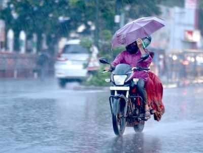Good rains in the eastern half of 'Ardra' in Solapur; Moderate rain of Punarvasu Nakshatra | सोलापुरात ‘आर्द्रा’चा पूर्वार्धात चांगला पाऊस; पुनर्वसू नक्षत्राची मात्र मध्यम वृष्टी