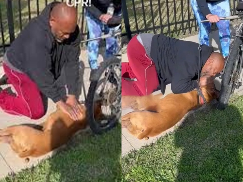 Man saves dog giving CPR by mouth video goes viral | VIDEO : कुत्र्याला अचानक रस्त्यात आला हार्ट अटॅक, व्यक्तीने तोंडाने श्वास देऊन वाचवला जीव