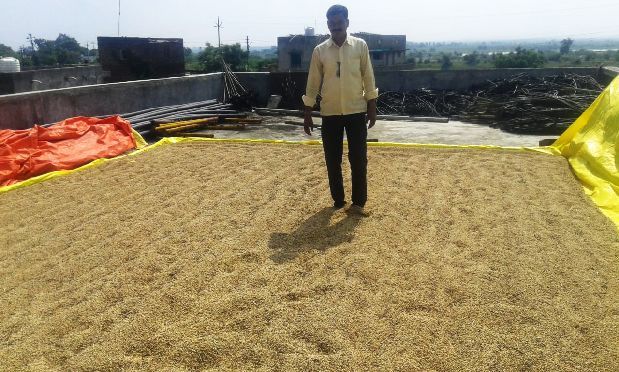 Farmers families in Amravati district will be tired in drying of beans | सोयाबीन वाळवताना अमरावती जिल्ह्यातील शेतकरी कुटुंबे हवालदील