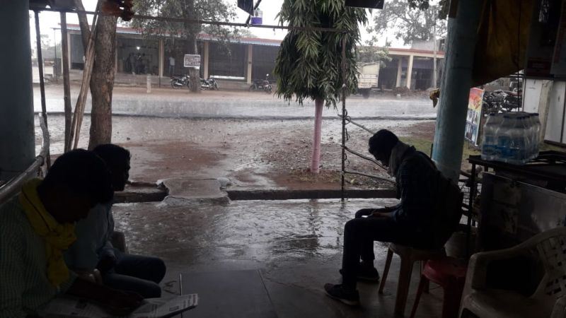 rains in Gadchiroli; Hit the paddy | गडचिरोलीत मुसळधार पाऊस; धानाला फटका