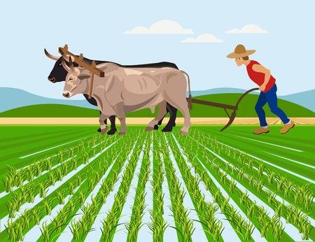 Appeal to submit proposal for agribusiness | कृषी व्यवसायासाठी प्रस्ताव सादर करण्याचे आवाहन