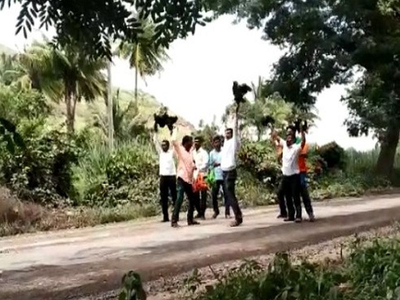 Kadaknath hips thrown in front of Mahajanade chariot | Video - मुख्यमंत्र्यांच्या महाजनादेश यात्रेवर कडकनाथ कोंबड्या फेकल्या, स्वाभिमानीचे आंदोलन