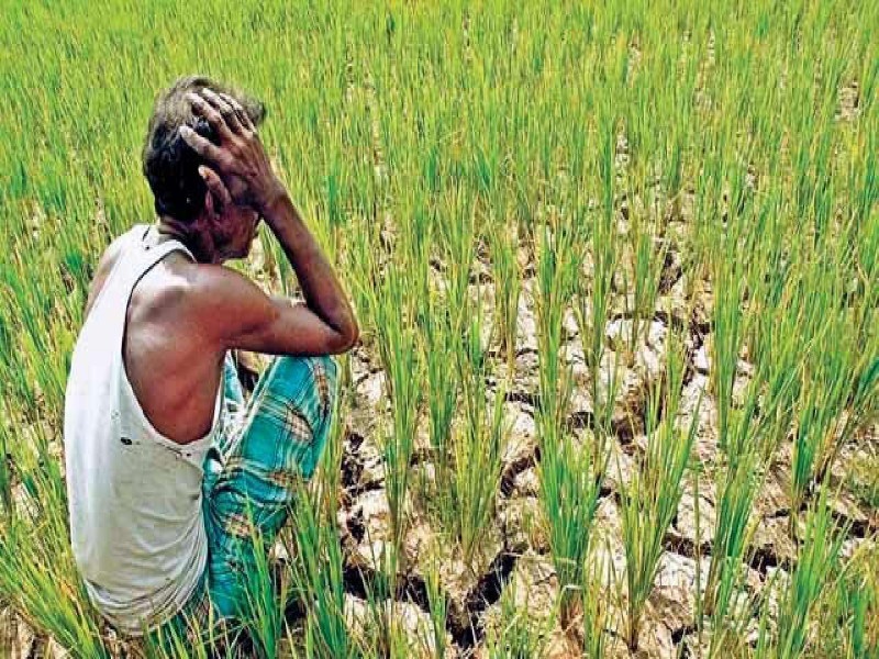 The government resorted to looting in the hope of helping the farmers, an angry reaction from the peasantry in Baramati | सरकारने शेतकऱ्यांना मदतीची आशा दाखवून केला लुटण्याचा प्रकार, बारामतीत शेतकरी वर्गातून संतप्त प्रतिक्रिया
