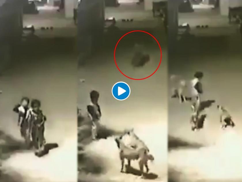 Dogs were barking at kids this happens then video goes viral | डर के आगे जीत है! तीन कुत्र्यांनी या लहान मुलाला घेरलं, त्याने जे केलं ते बघून व्हाल थक्क.....