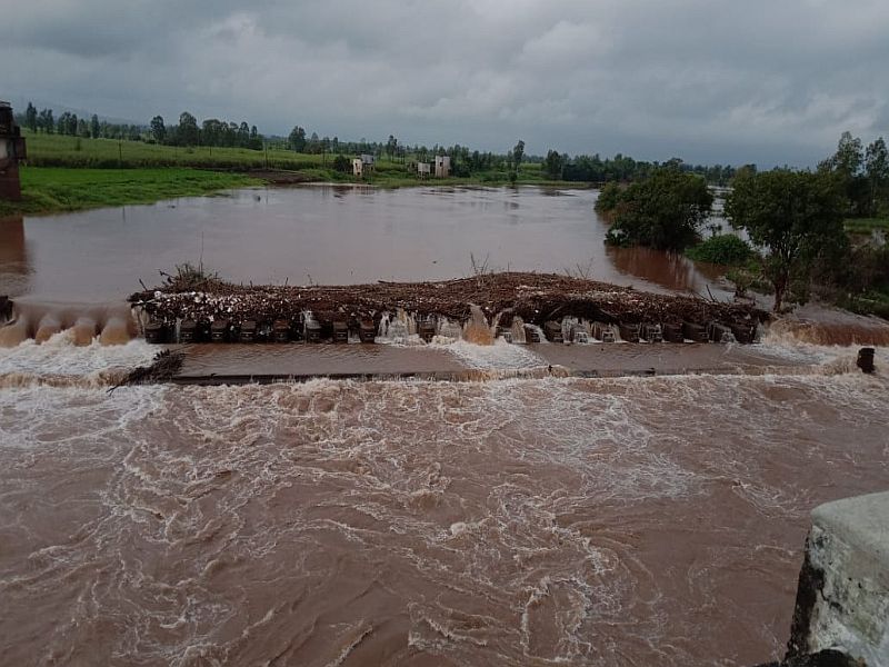 warana river flood in nave pargaon in Hatkanangale Taluka in Kolhapur District | झुडपे अडकल्यामुळे वारणेच्या पुराच्या पाण्याचा मार्ग बदलला