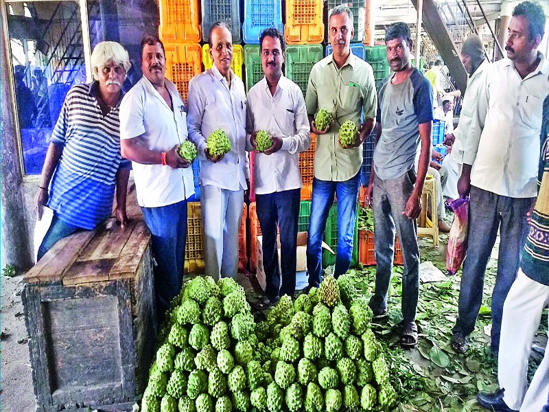 Now ..! 1400 grams of Hanuman fruit coming in Pune Market Yard | अबब..! पुण्यातील मार्केट यार्डात १४०० ग्रॅमचे हनुमानफळ दाखल
