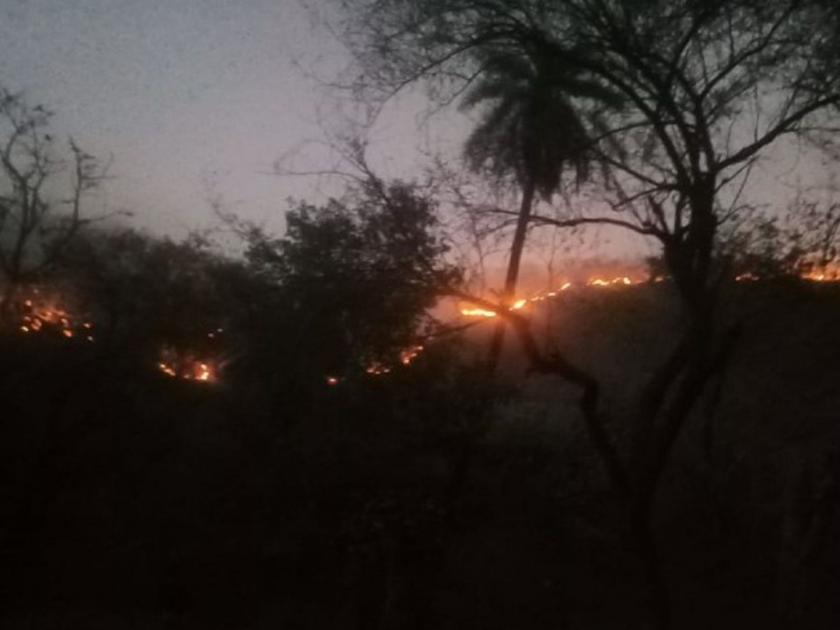 Fire at Sariska Forest in Rajasthan; animals ran towards villages; Ordered an Army helicopters | Fire in Sariska Forest: राजस्थानच्या जंगलात भीषण वणवा; प्राणी जिवाच्या आकांताने गावांकडे पळाले; लष्कराची हेलिकॉप्टर मागविली