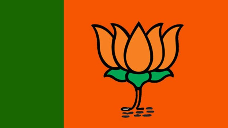 BJP's sounding victory in the Fulbari Nagar Panchayat elections | फुलंब्री नगर पंचायत निवडणुकीत भाजपचा दणदणीत विजय 