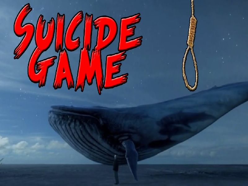  I'm trapped in a blue whale trap, save me! Phone on the child's helpline in Tamil Nadu | मी ब्लू व्हेलच्या जाळ्यात अडकलो आहे, मला वाचवा! तामिळनाडूतील मुलाचा हेल्पलाइनवर आला फोन