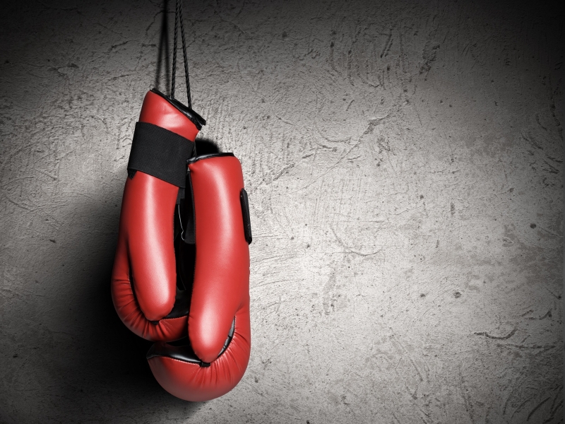  India's comeback in the World Boxing Series | जागतिक बॉक्सिंग सीरिजमध्ये भारताचे पुनरागमन